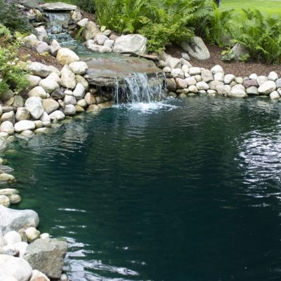 Water Garden