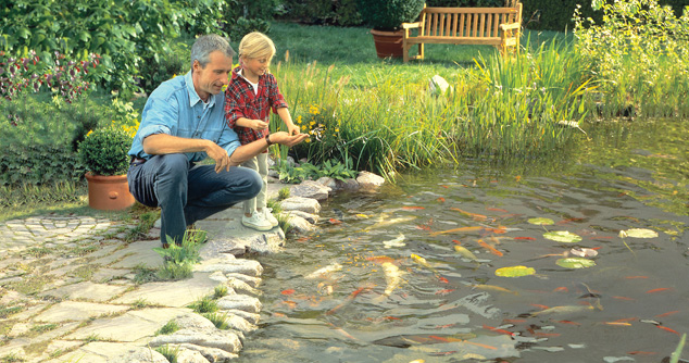 12 Steps to Get Your Pond Ready for Spring