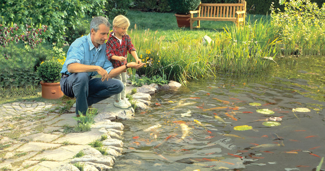 Barley Straw Liquid Extract for Controlling String Algae -Safe and Natural