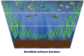 Summer Stratification