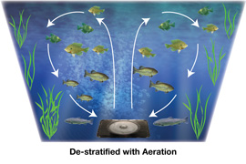 De-Stratification of Ponds