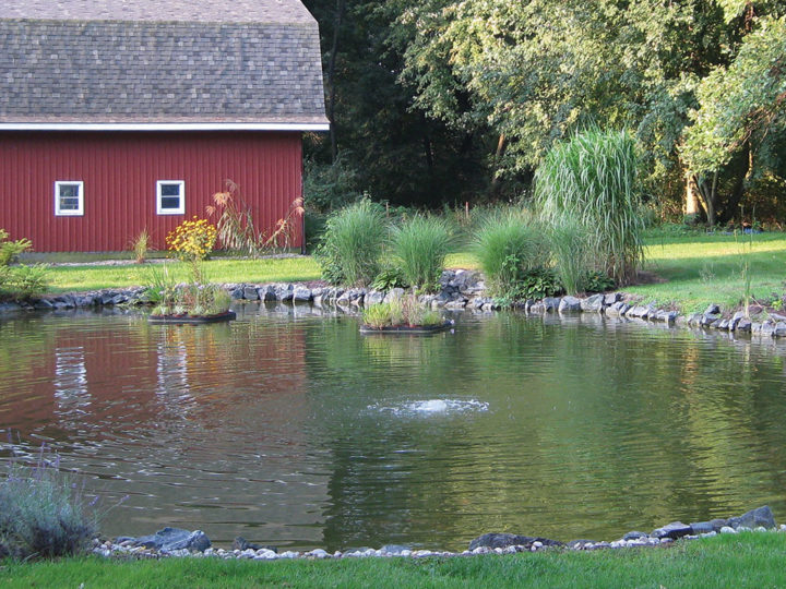 Large Pond Management Overview