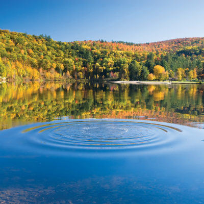 Pond & Lake Dye