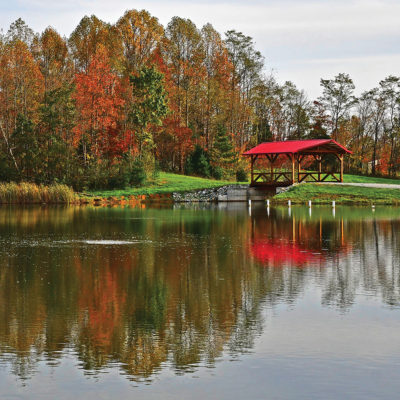 Lake & Pond Management