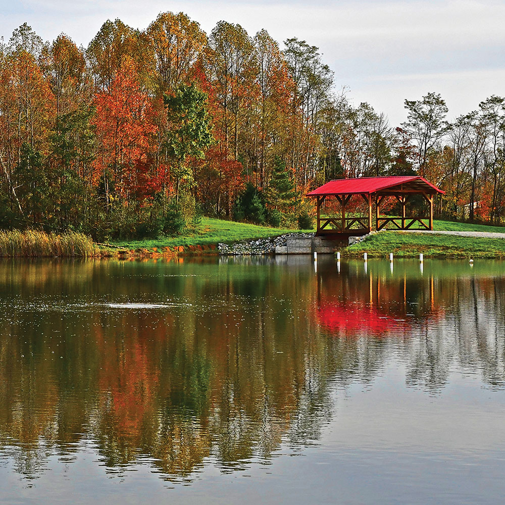 Home - Stoney Creek Fisheries & Equipment