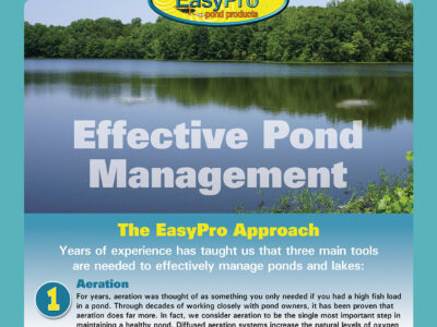 Effective Pond Management Guide