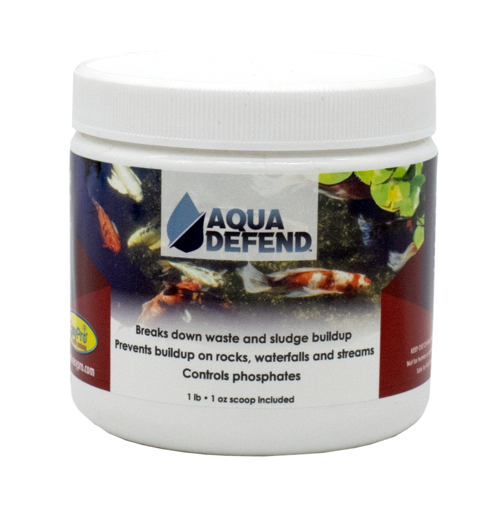 AQD1 Aqua Defend™ AllNatural Pond Water Treatment 1 lb Jar Stoney