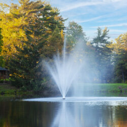 AMF10 Scott Aerator Amherst Fountain - 1 hp / 11.5 Amps