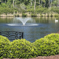 BVF100-150 Bearon Aquatics Aerating Display Fountain - 1 hp